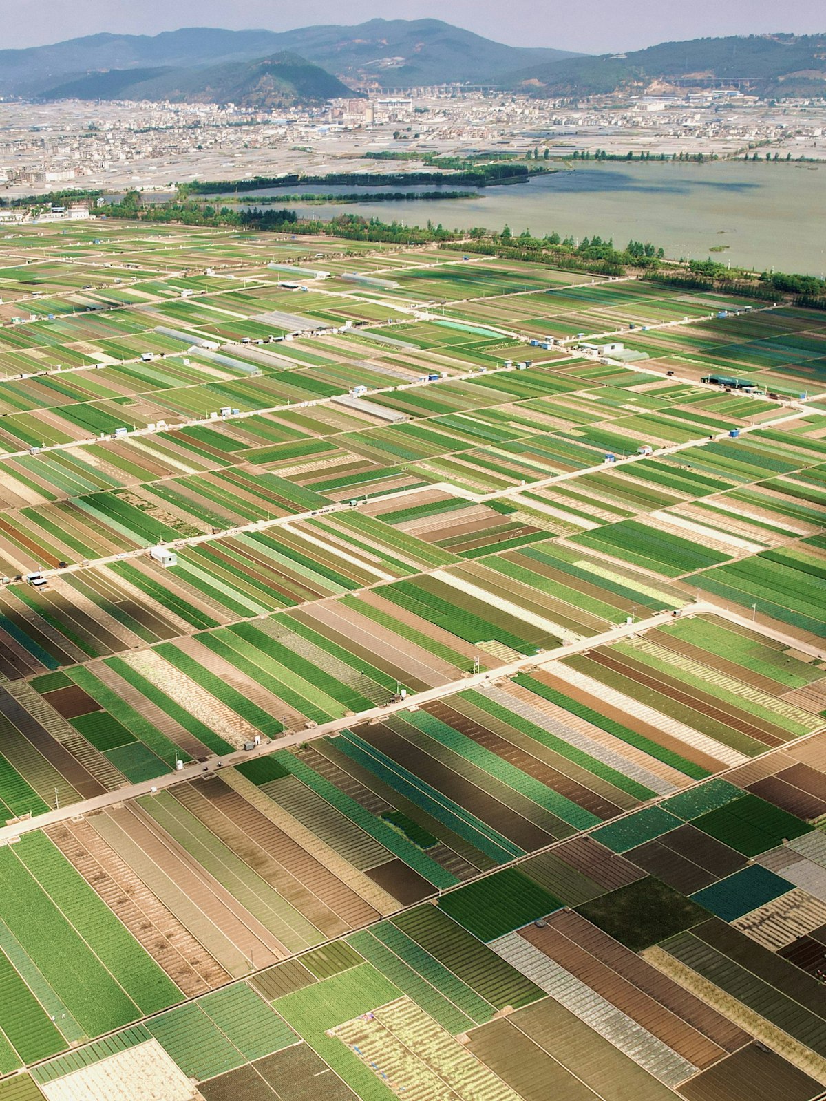 Champs agricoles Universefarmer — vue aérienne